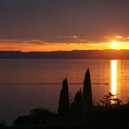 Arca バルドリーノ