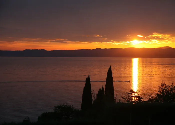 Arca 바르돌리노